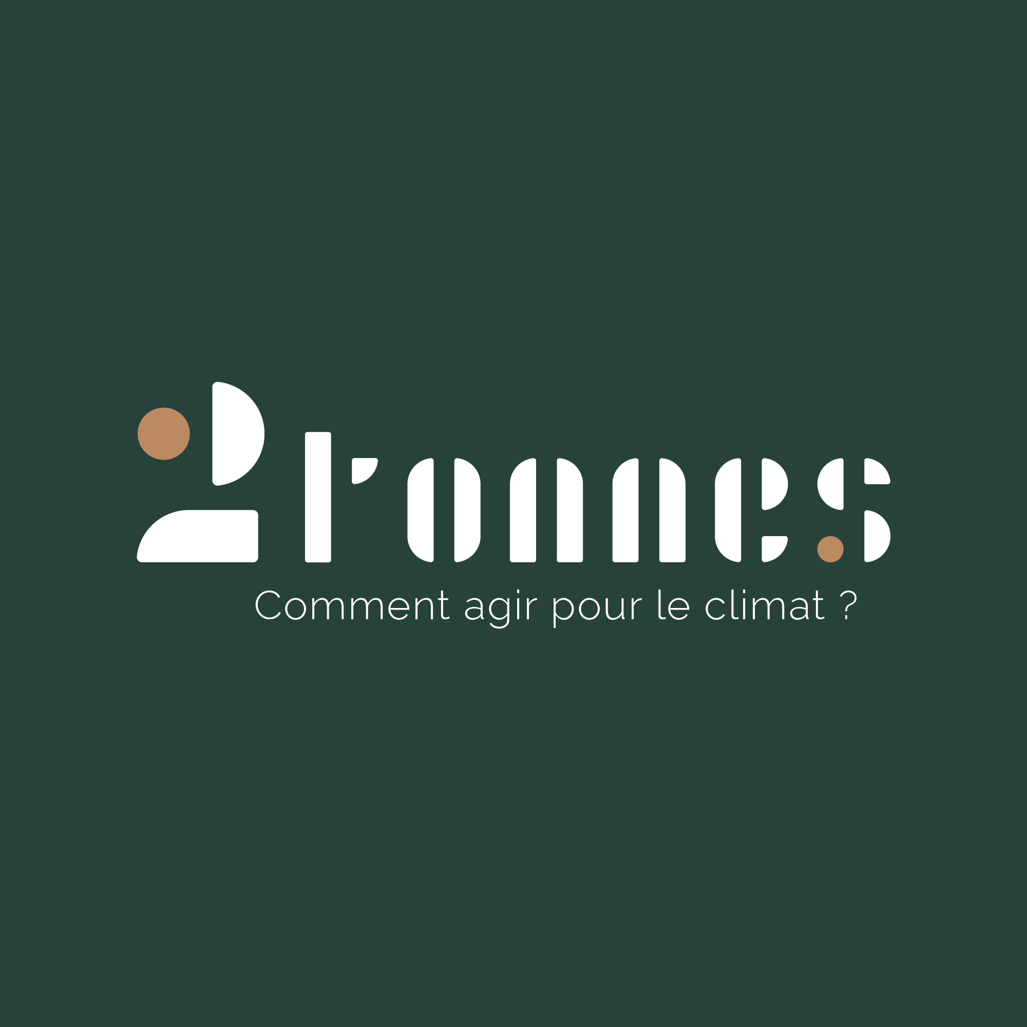 Logo 2tonnes